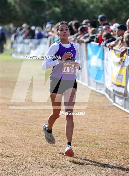 Thumbnail 1 in CIF Central Section Cross Country Championships (Girls D4 Race) photogallery.