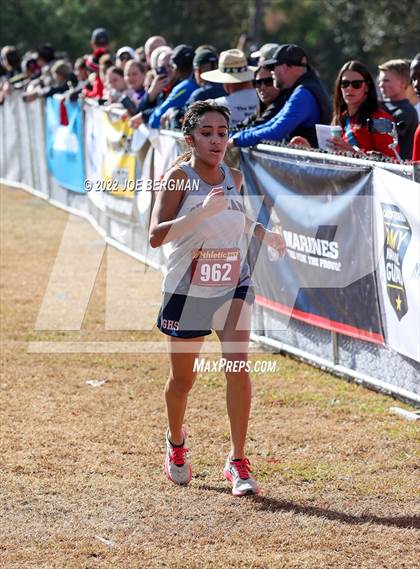 Thumbnail 3 in CIF Central Section Cross Country Championships (Girls D4 Race) photogallery.