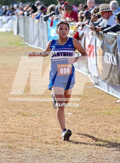 Thumbnail 3 in CIF Central Section Cross Country Championships (Girls D4 Race) photogallery.