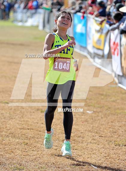 Thumbnail 3 in CIF Central Section Cross Country Championships (Girls D4 Race) photogallery.