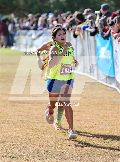 Thumbnail 1 in CIF Central Section Cross Country Championships (Girls D4 Race) photogallery.