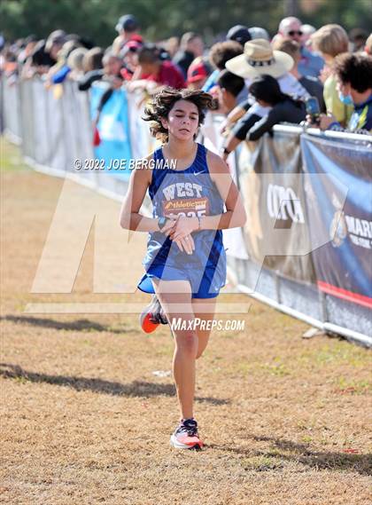 Thumbnail 2 in CIF Central Section Cross Country Championships (Girls D4 Race) photogallery.