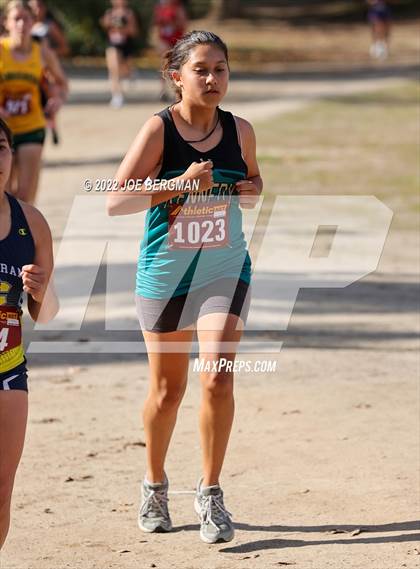 Thumbnail 1 in CIF Central Section Cross Country Championships (Girls D4 Race) photogallery.