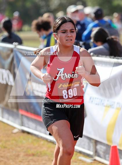 Thumbnail 3 in CIF Central Section Cross Country Championships (Girls D4 Race) photogallery.