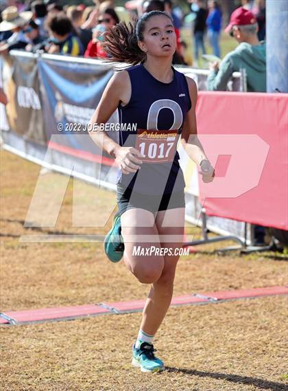 Thumbnail 2 in CIF Central Section Cross Country Championships (Girls D4 Race) photogallery.
