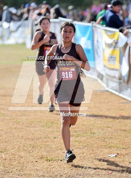 Thumbnail 3 in CIF Central Section Cross Country Championships (Girls D4 Race) photogallery.