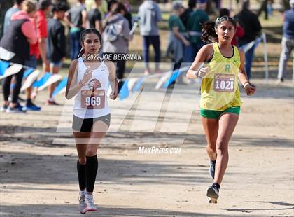 Thumbnail 1 in CIF Central Section Cross Country Championships (Girls D4 Race) photogallery.