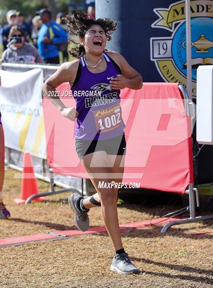Thumbnail 1 in CIF Central Section Cross Country Championships (Girls D4 Race) photogallery.