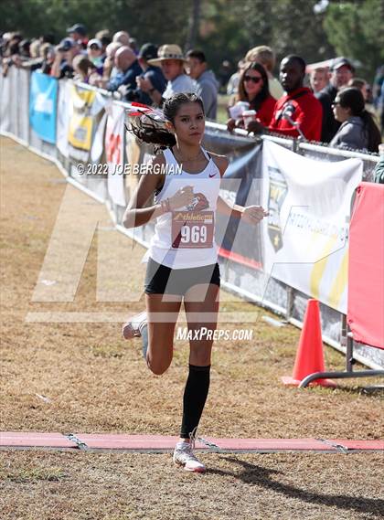 Thumbnail 2 in CIF Central Section Cross Country Championships (Girls D4 Race) photogallery.