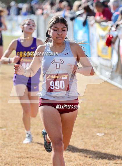 Thumbnail 3 in CIF Central Section Cross Country Championships (Girls D4 Race) photogallery.