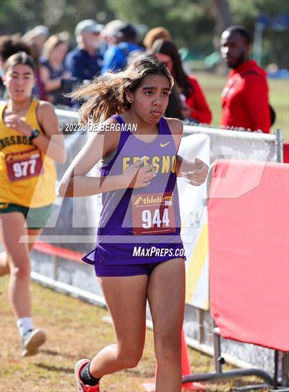 Thumbnail 2 in CIF Central Section Cross Country Championships (Girls D4 Race) photogallery.