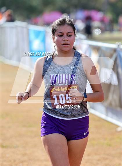 Thumbnail 1 in CIF Central Section Cross Country Championships (Girls D4 Race) photogallery.