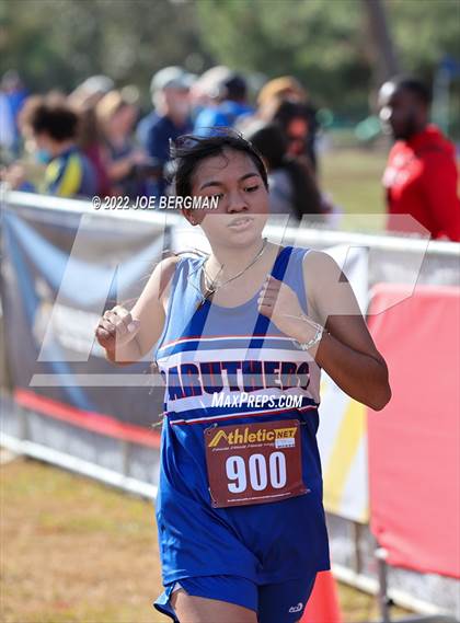 Thumbnail 3 in CIF Central Section Cross Country Championships (Girls D4 Race) photogallery.