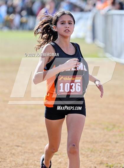 Thumbnail 1 in CIF Central Section Cross Country Championships (Girls D4 Race) photogallery.