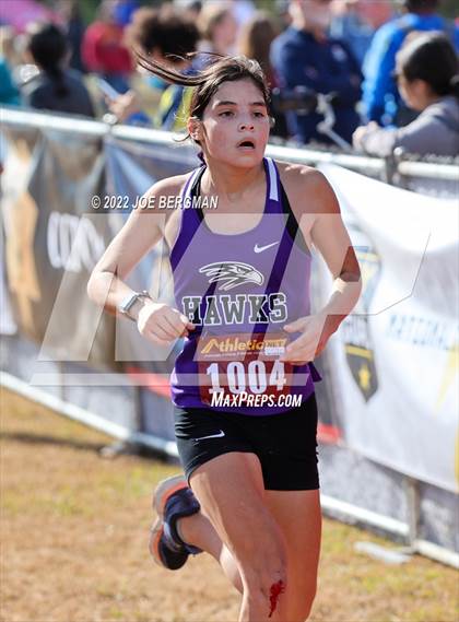 Thumbnail 2 in CIF Central Section Cross Country Championships (Girls D4 Race) photogallery.