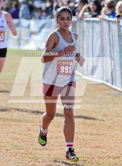 Thumbnail 1 in CIF Central Section Cross Country Championships (Girls D4 Race) photogallery.