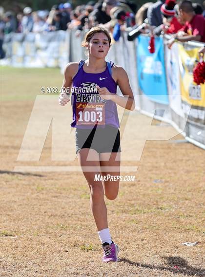 Thumbnail 2 in CIF Central Section Cross Country Championships (Girls D4 Race) photogallery.