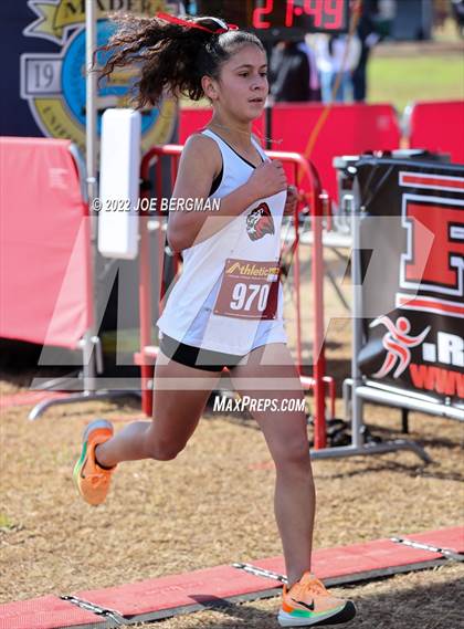 Thumbnail 3 in CIF Central Section Cross Country Championships (Girls D4 Race) photogallery.