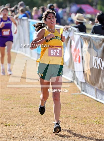 Thumbnail 2 in CIF Central Section Cross Country Championships (Girls D4 Race) photogallery.