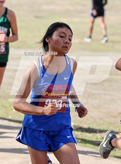 Thumbnail 2 in CIF Central Section Cross Country Championships (Girls D4 Race) photogallery.