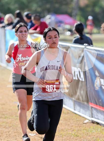 Thumbnail 2 in CIF Central Section Cross Country Championships (Girls D4 Race) photogallery.