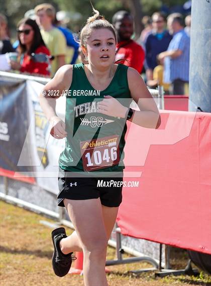 Thumbnail 1 in CIF Central Section Cross Country Championships (Girls D4 Race) photogallery.