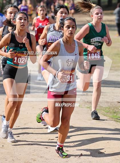Thumbnail 3 in CIF Central Section Cross Country Championships (Girls D4 Race) photogallery.