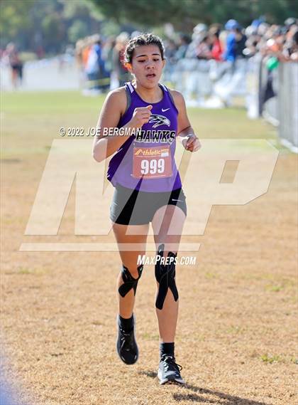 Thumbnail 1 in CIF Central Section Cross Country Championships (Girls D4 Race) photogallery.