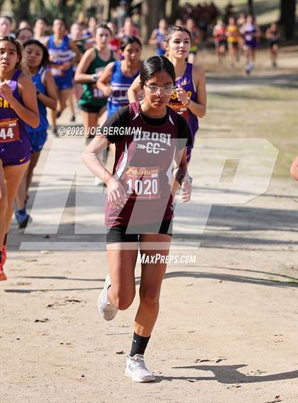 Thumbnail 2 in CIF Central Section Cross Country Championships (Girls D4 Race) photogallery.