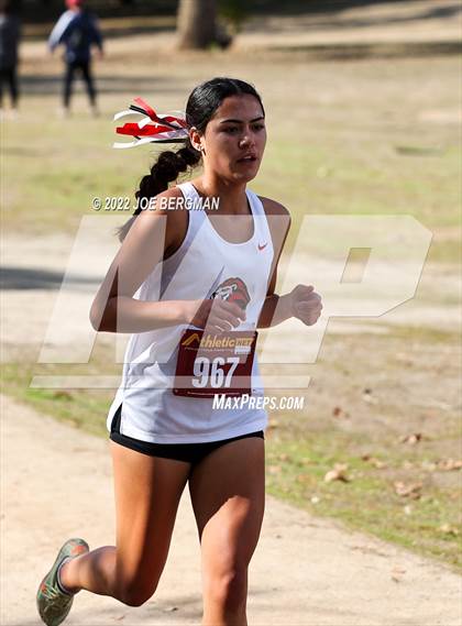 Thumbnail 1 in CIF Central Section Cross Country Championships (Girls D4 Race) photogallery.