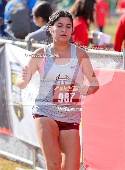 Thumbnail 3 in CIF Central Section Cross Country Championships (Girls D4 Race) photogallery.