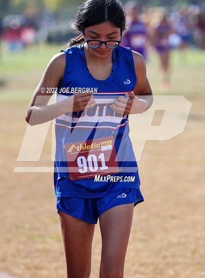 Thumbnail 3 in CIF Central Section Cross Country Championships (Girls D4 Race) photogallery.