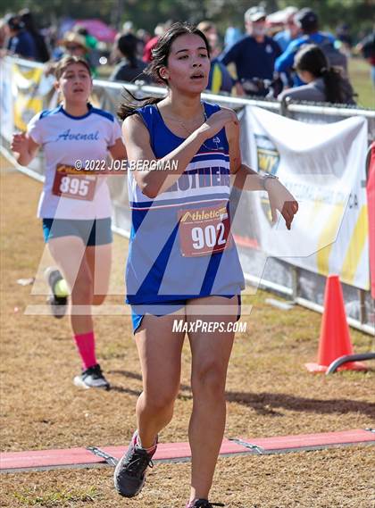 Thumbnail 3 in CIF Central Section Cross Country Championships (Girls D4 Race) photogallery.