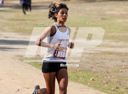 Thumbnail 1 in CIF Central Section Cross Country Championships (Girls D4 Race) photogallery.
