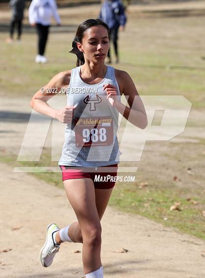 Thumbnail 1 in CIF Central Section Cross Country Championships (Girls D4 Race) photogallery.