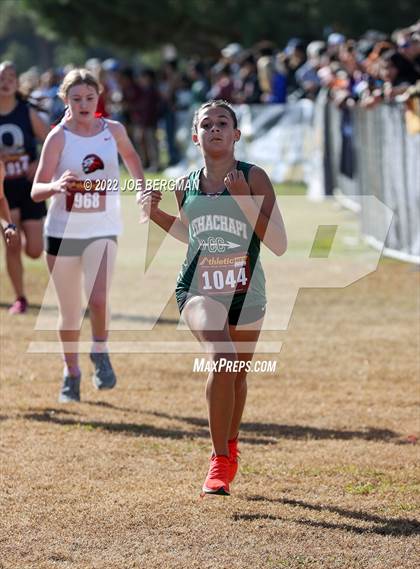 Thumbnail 3 in CIF Central Section Cross Country Championships (Girls D4 Race) photogallery.