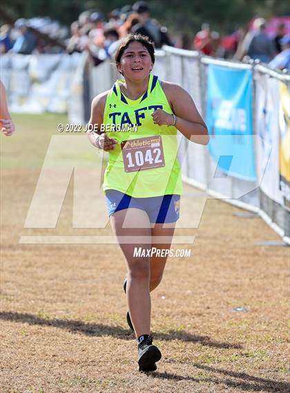 Thumbnail 3 in CIF Central Section Cross Country Championships (Girls D4 Race) photogallery.