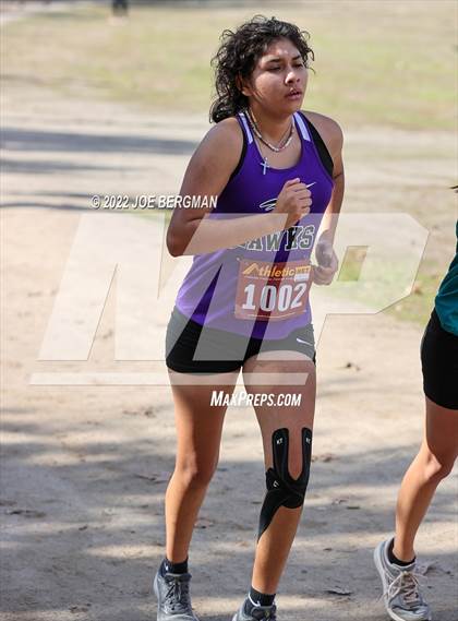 Thumbnail 3 in CIF Central Section Cross Country Championships (Girls D4 Race) photogallery.