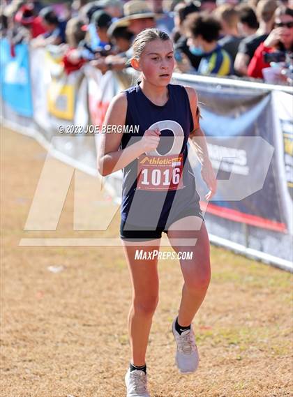 Thumbnail 2 in CIF Central Section Cross Country Championships (Girls D4 Race) photogallery.