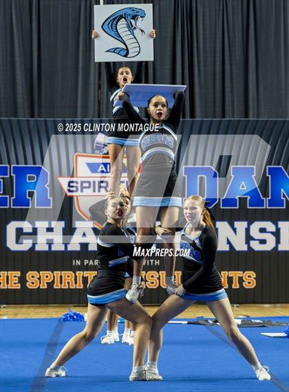 Thumbnail 1 in Cactus - Cheer (AIA Division III-IV Final) photogallery.