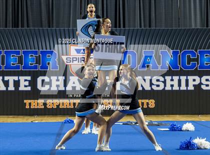 Thumbnail 3 in Cactus - Cheer (AIA Division III-IV Final) photogallery.