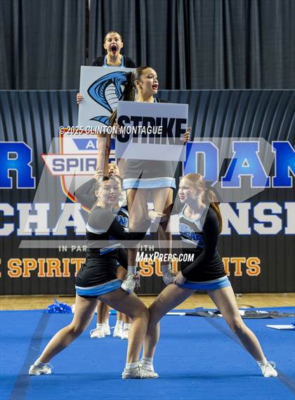 Thumbnail 2 in Cactus - Cheer (AIA Division III-IV Final) photogallery.