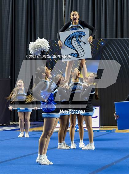 Thumbnail 1 in Cactus - Cheer (AIA Division III-IV Final) photogallery.