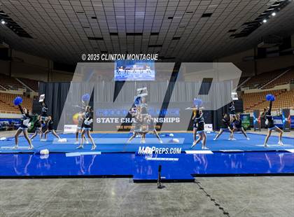 Thumbnail 2 in Cactus - Cheer (AIA Division III-IV Final) photogallery.