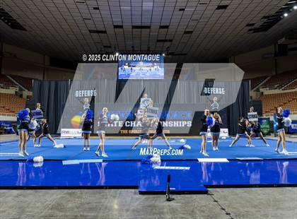 Thumbnail 3 in Cactus - Cheer (AIA Division III-IV Final) photogallery.