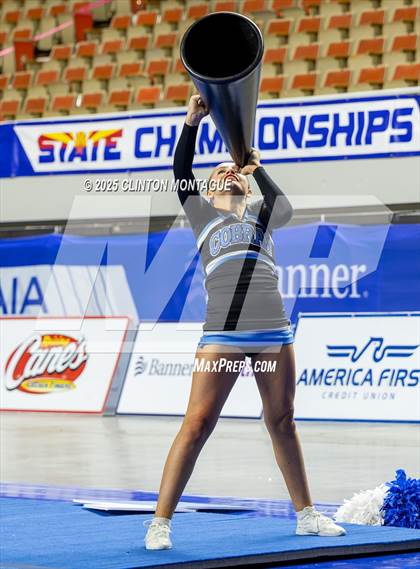 Thumbnail 3 in Cactus - Cheer (AIA Division III-IV Final) photogallery.