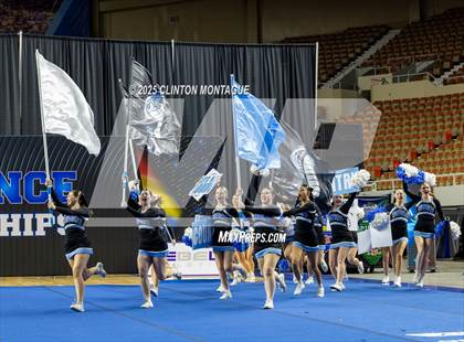 Thumbnail 1 in Cactus - Cheer (AIA Division III-IV Final) photogallery.