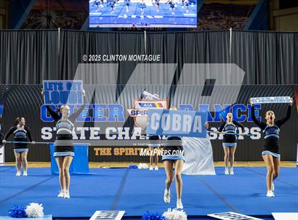 Thumbnail 1 in Cactus - Cheer (AIA Division III-IV Final) photogallery.