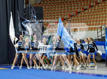 Thumbnail 2 in Cactus - Cheer (AIA Division III-IV Final) photogallery.