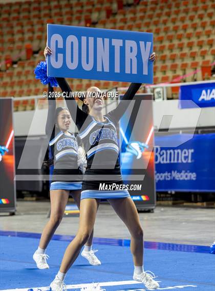 Thumbnail 2 in Cactus - Cheer (AIA Division III-IV Final) photogallery.